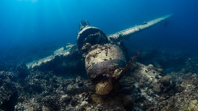 海洋海水、海洋沉积物、海洋生物体残留物监测